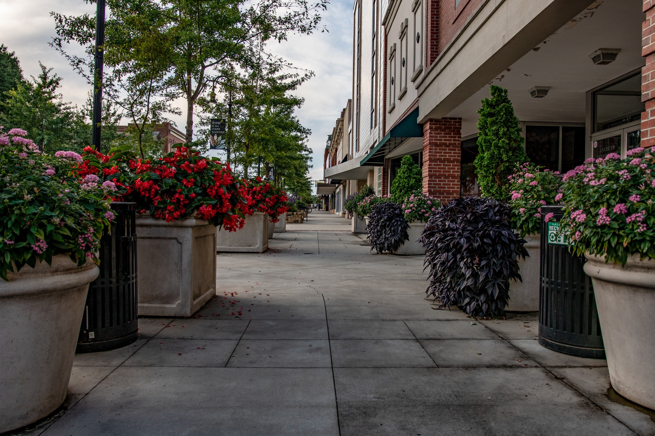 Flower-lined sidewalk in downtown shopping district