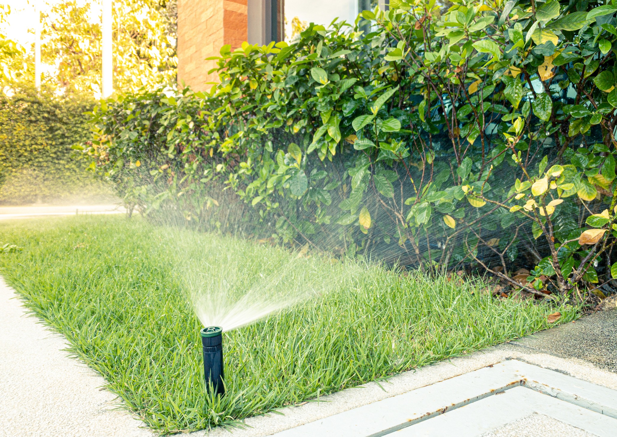 Lawn sprinkler watering grass near house hedge