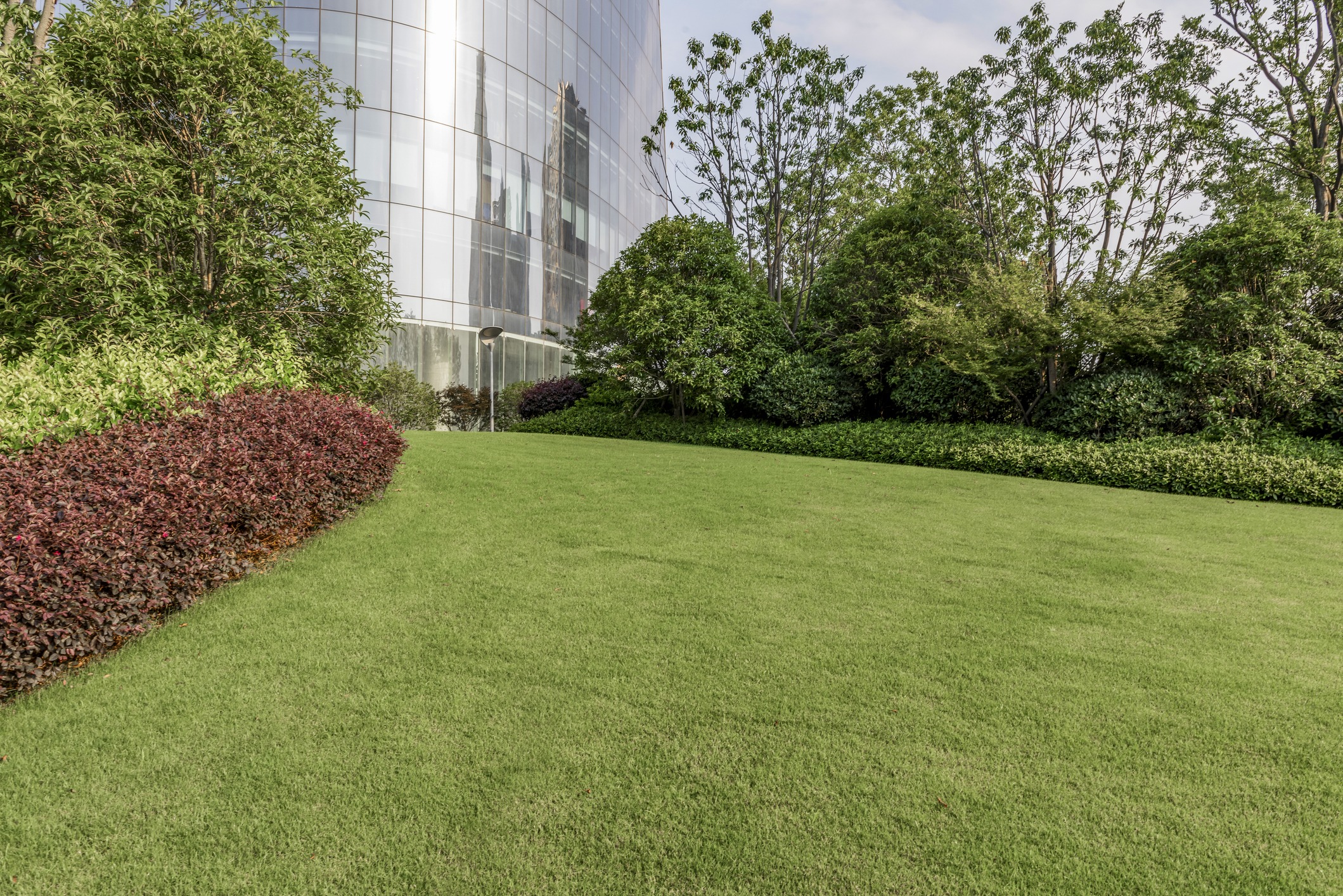 Modern glass building beside landscaped green lawn