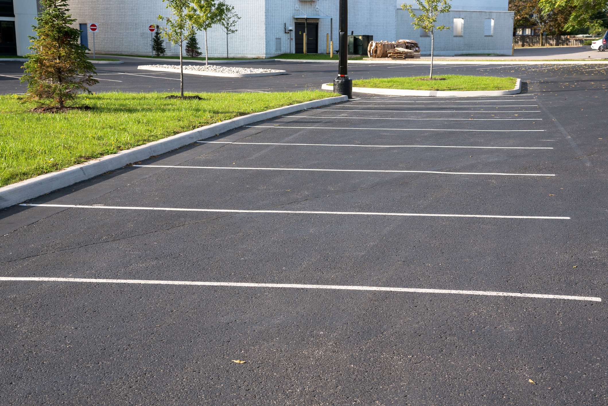 Empty asphalt parking lot with white lines