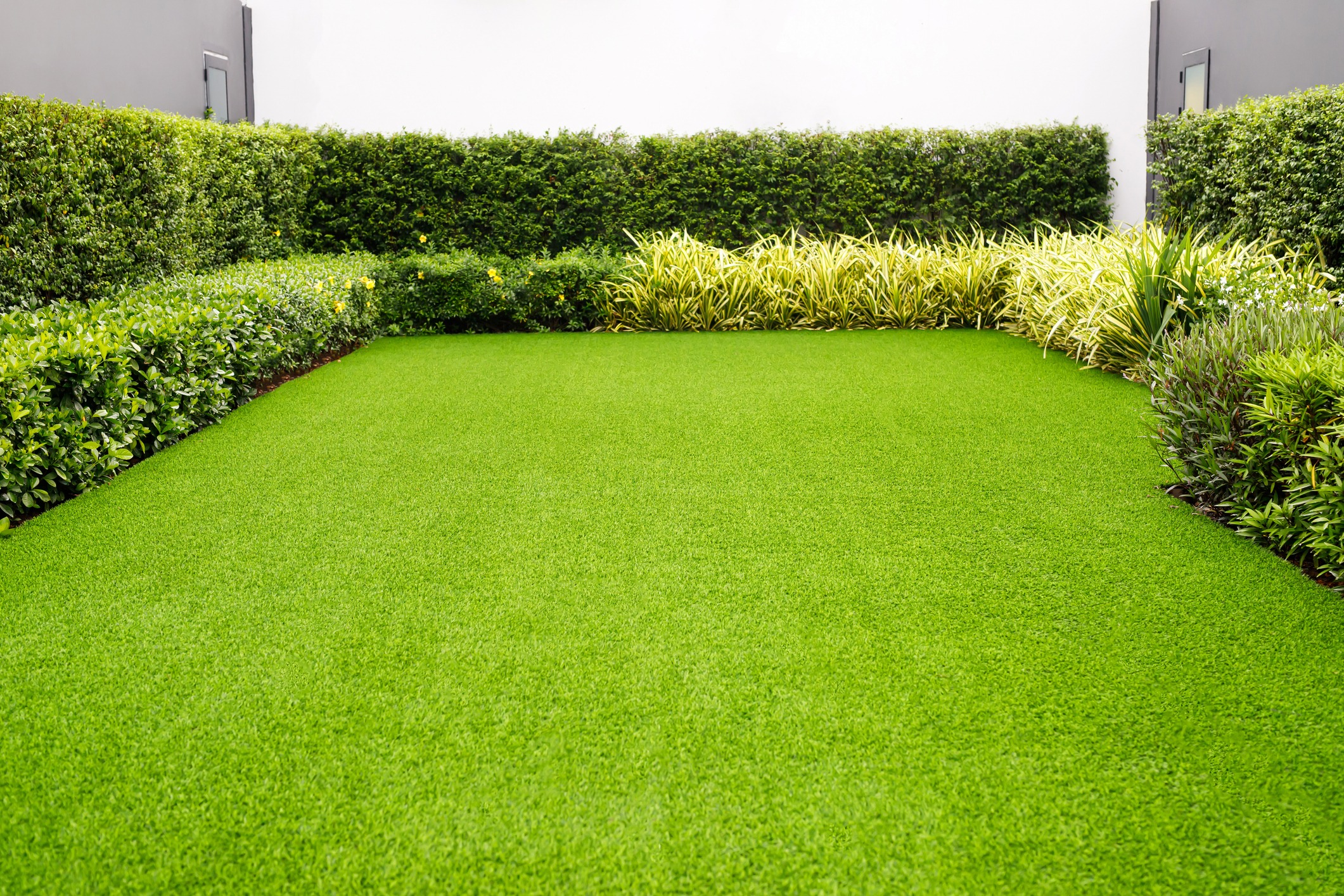 Manicured backyard with artificial turf and hedges