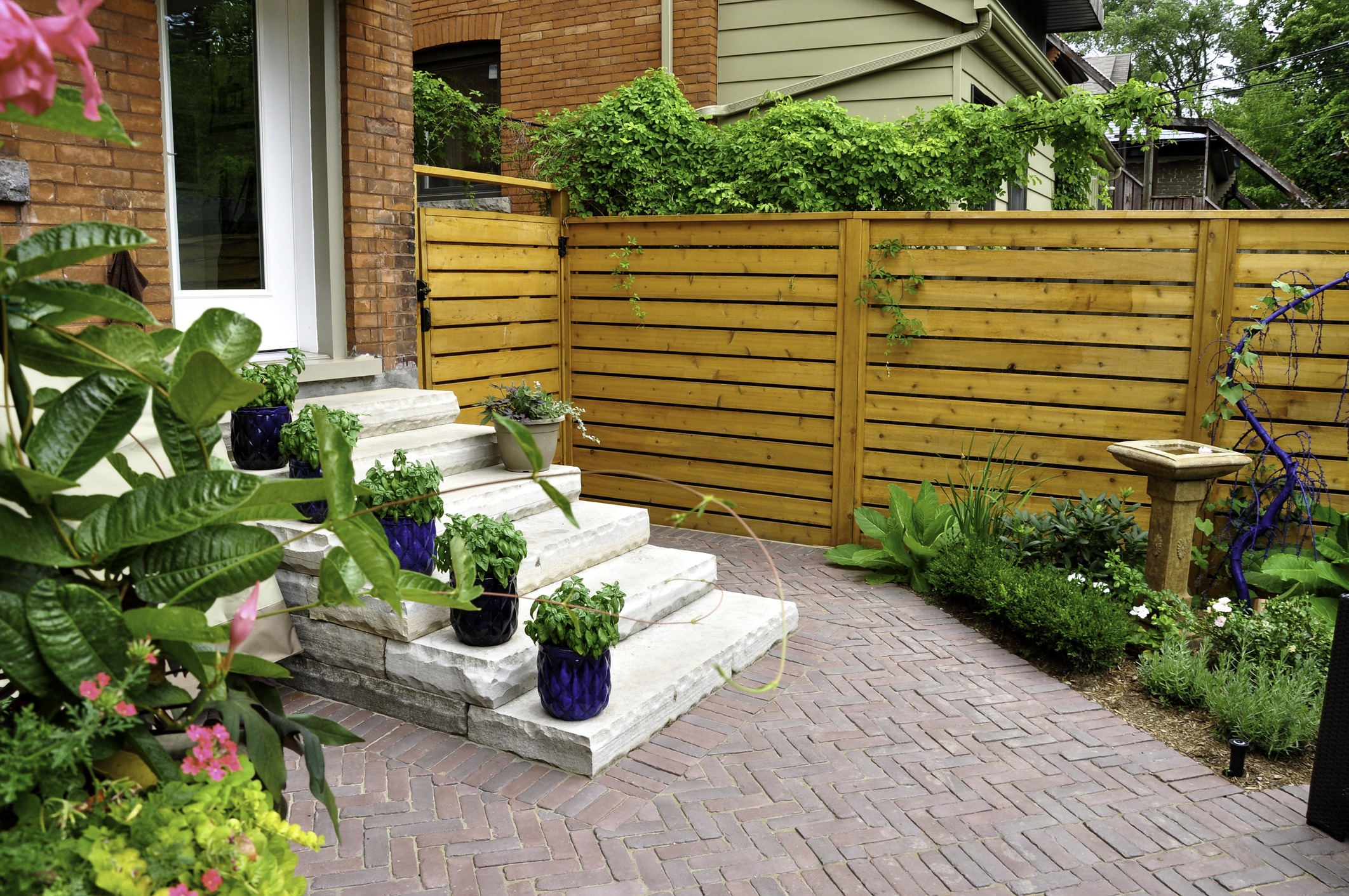 Backyard patio with wooden fence and potted plants