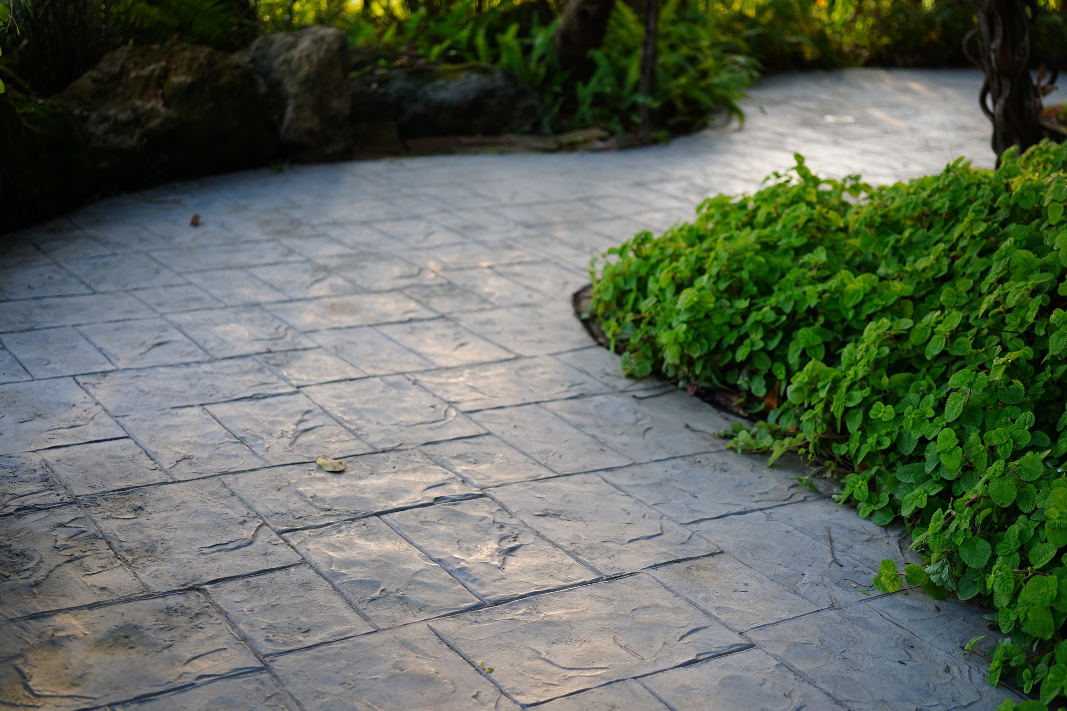 Curved stamped concrete garden path with green plants