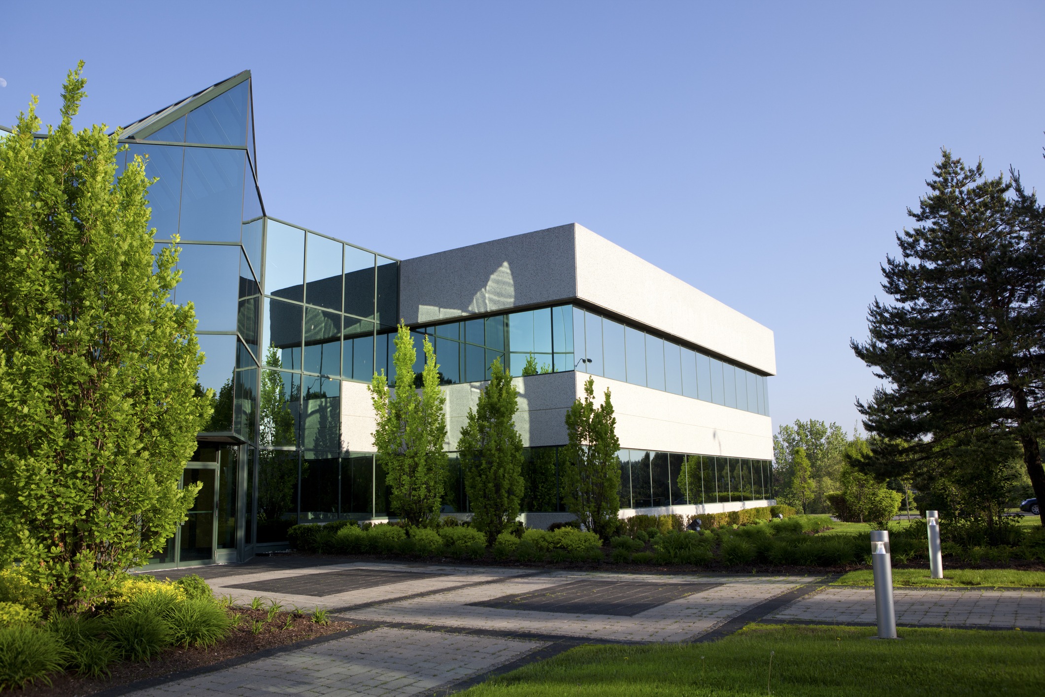 Modern glass office building surrounded by trees