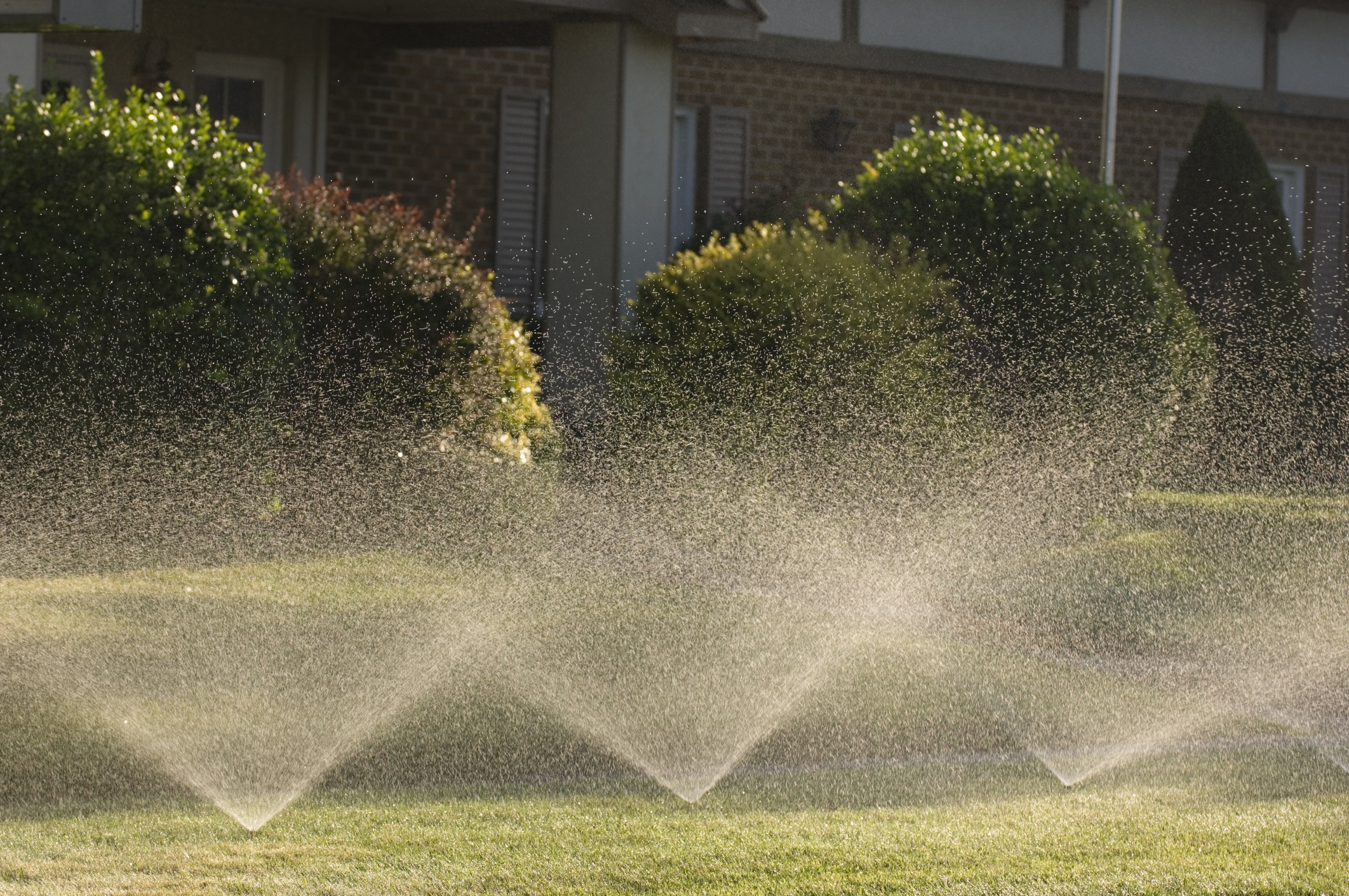 Lawn sprinklers spraying water in front yard