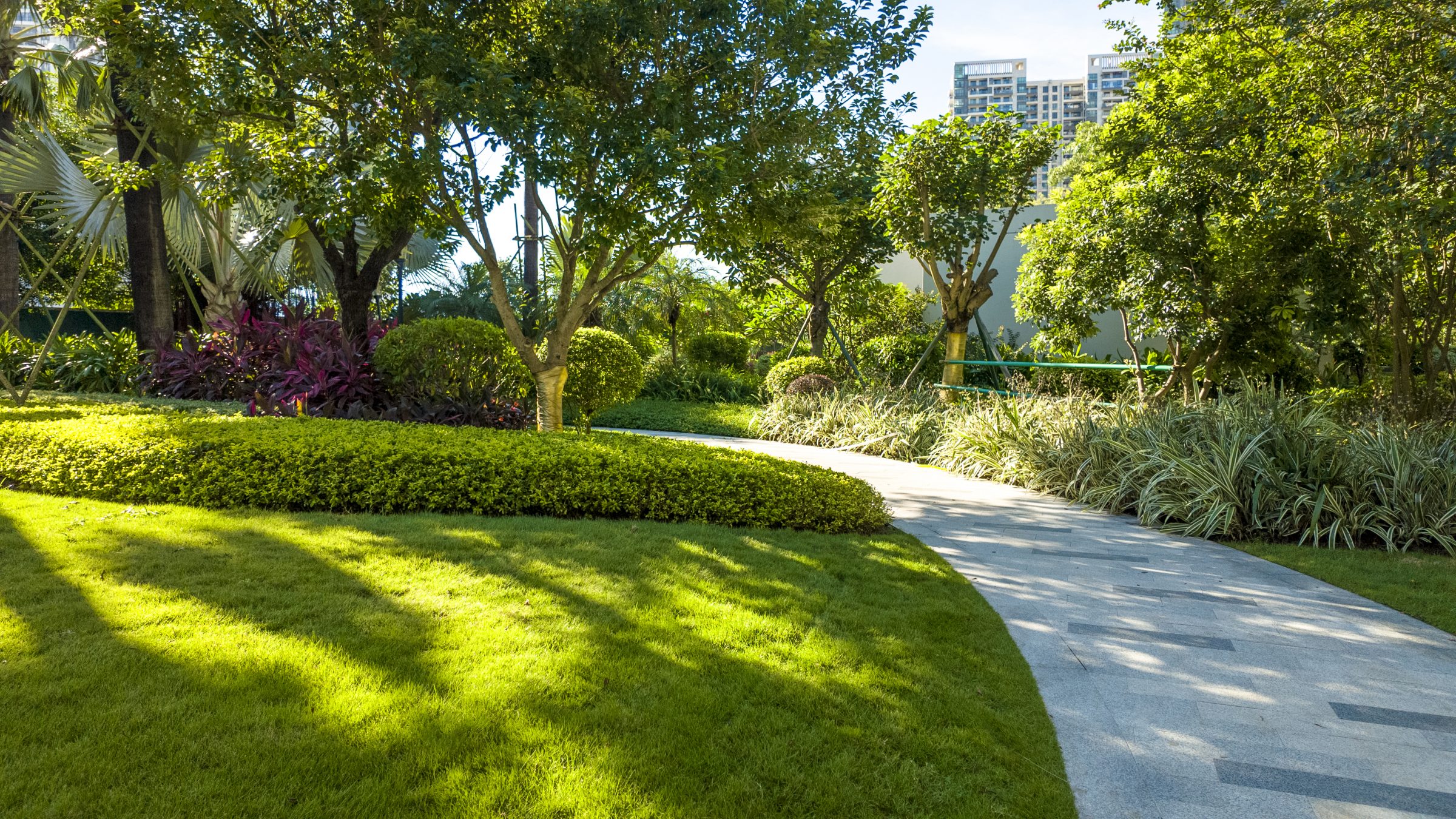 Curved pathway through landscaped urban garden