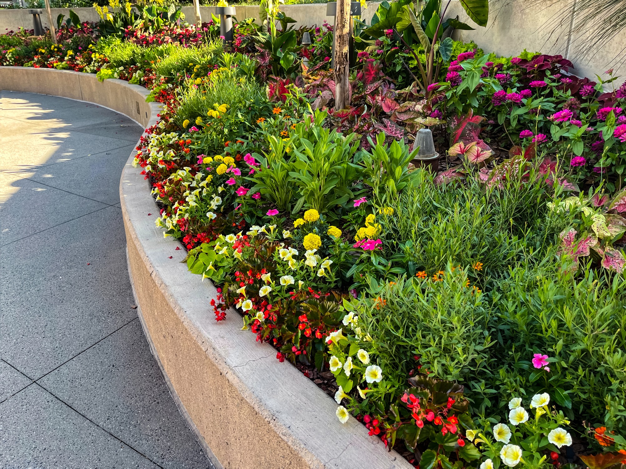 Colorful flower bed along curved sidewalk planter