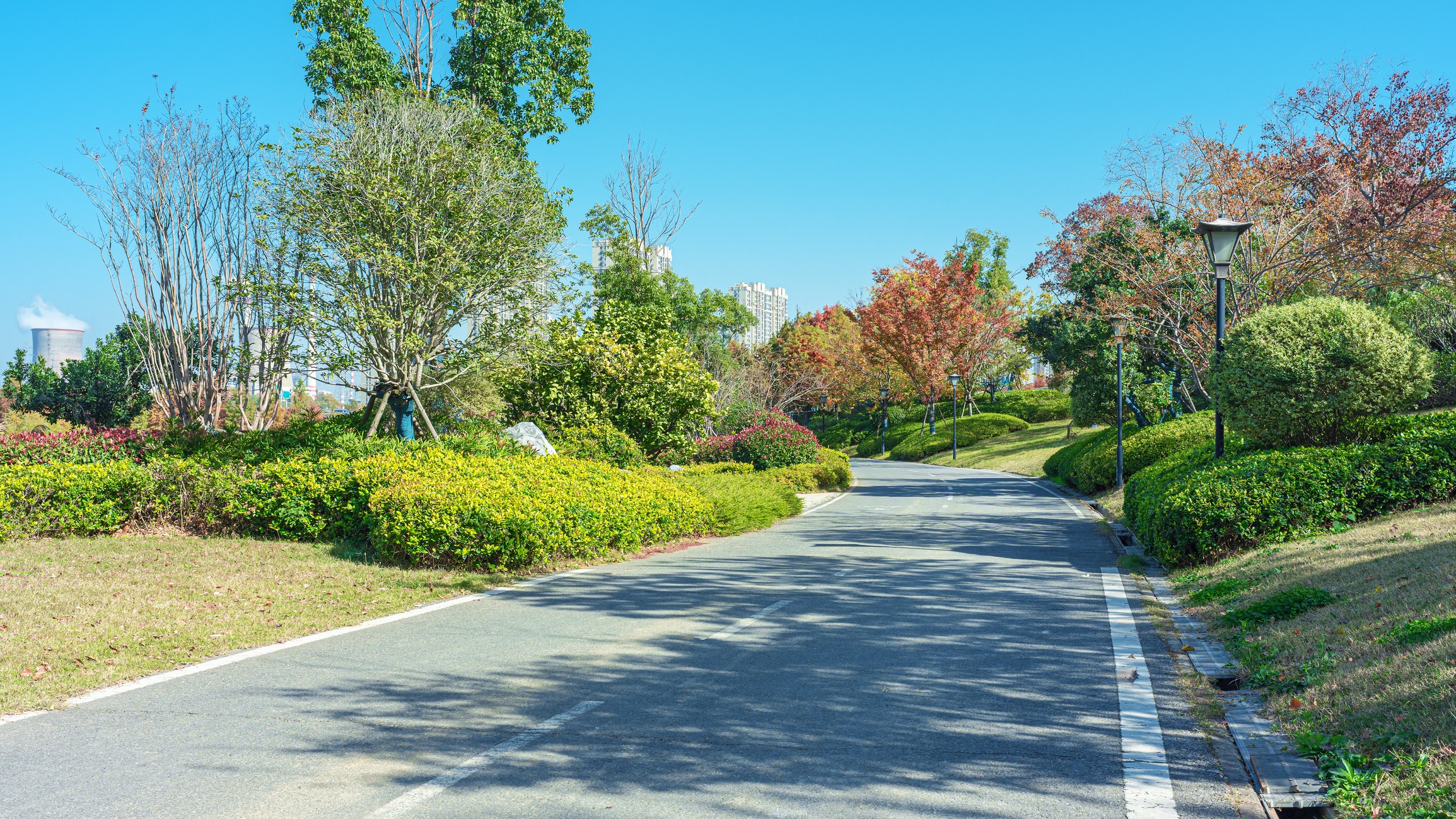 Curving park road lined with trees and shrubs