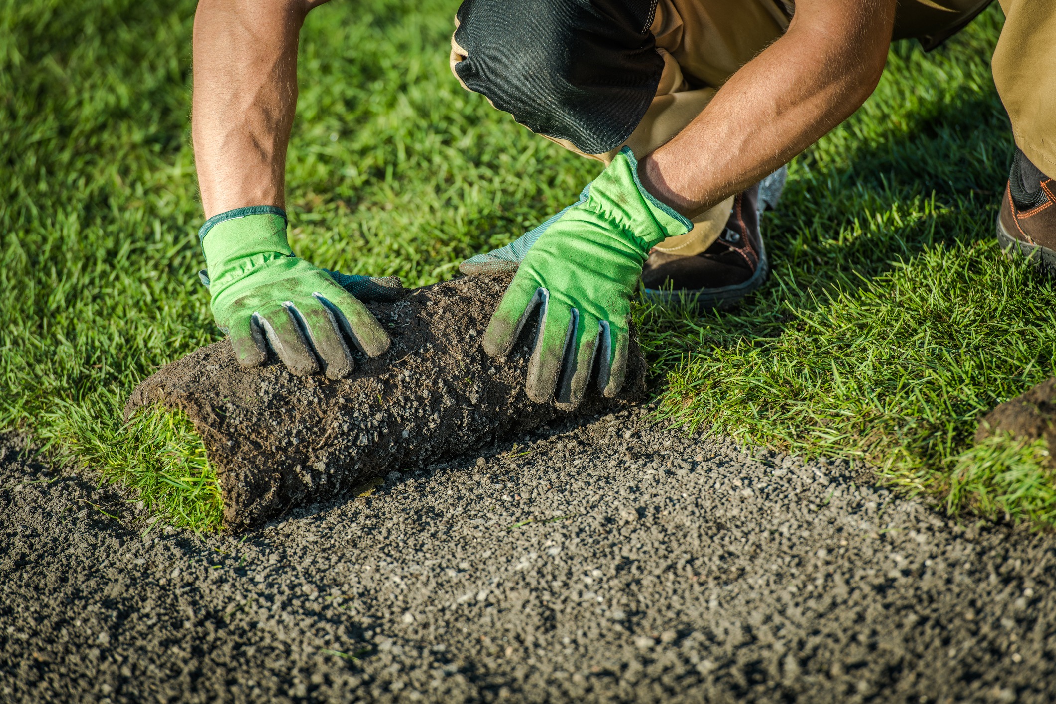 Person installing fresh sod on lawn
