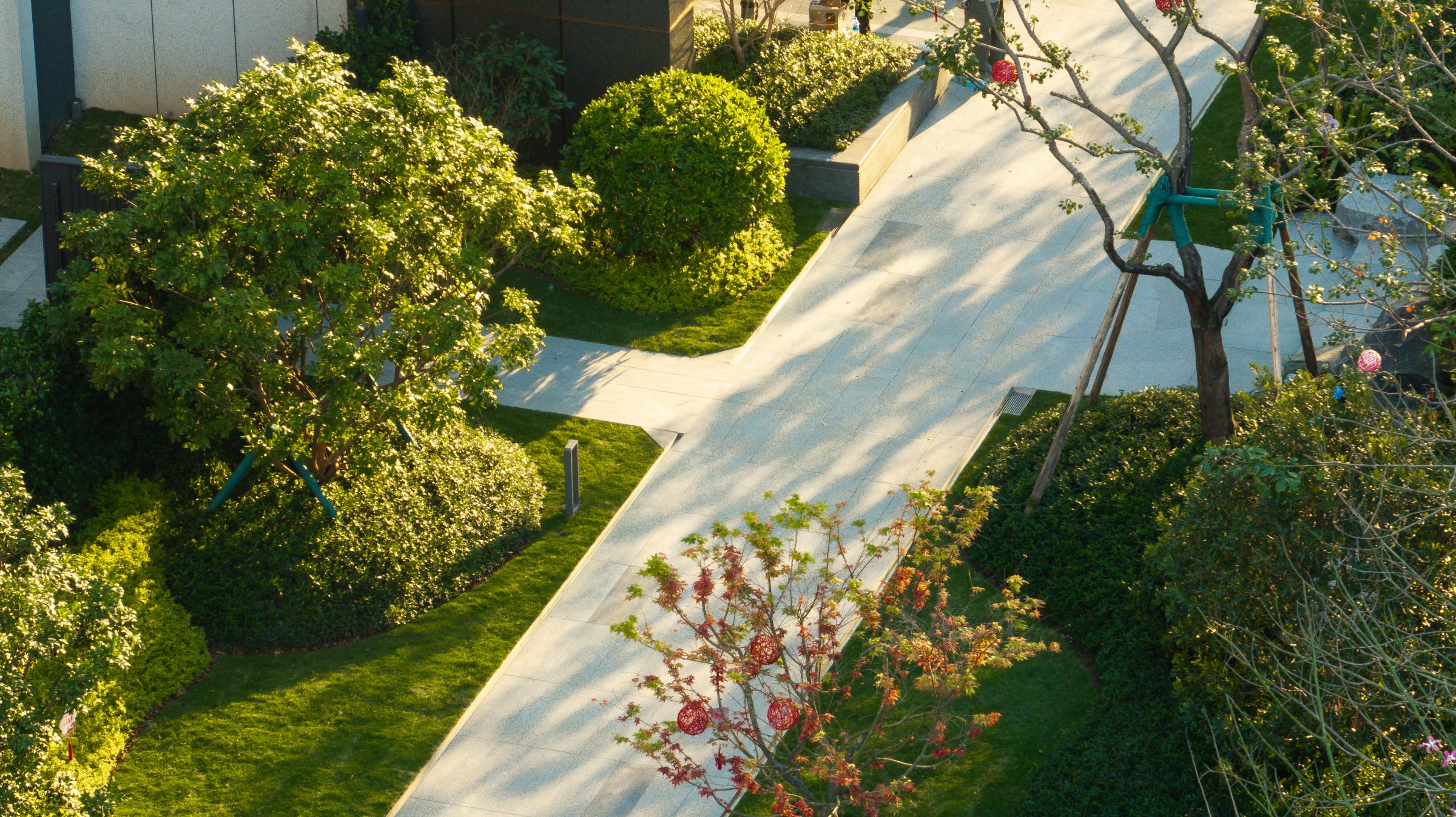 Landscaped garden with winding concrete pathways and trees