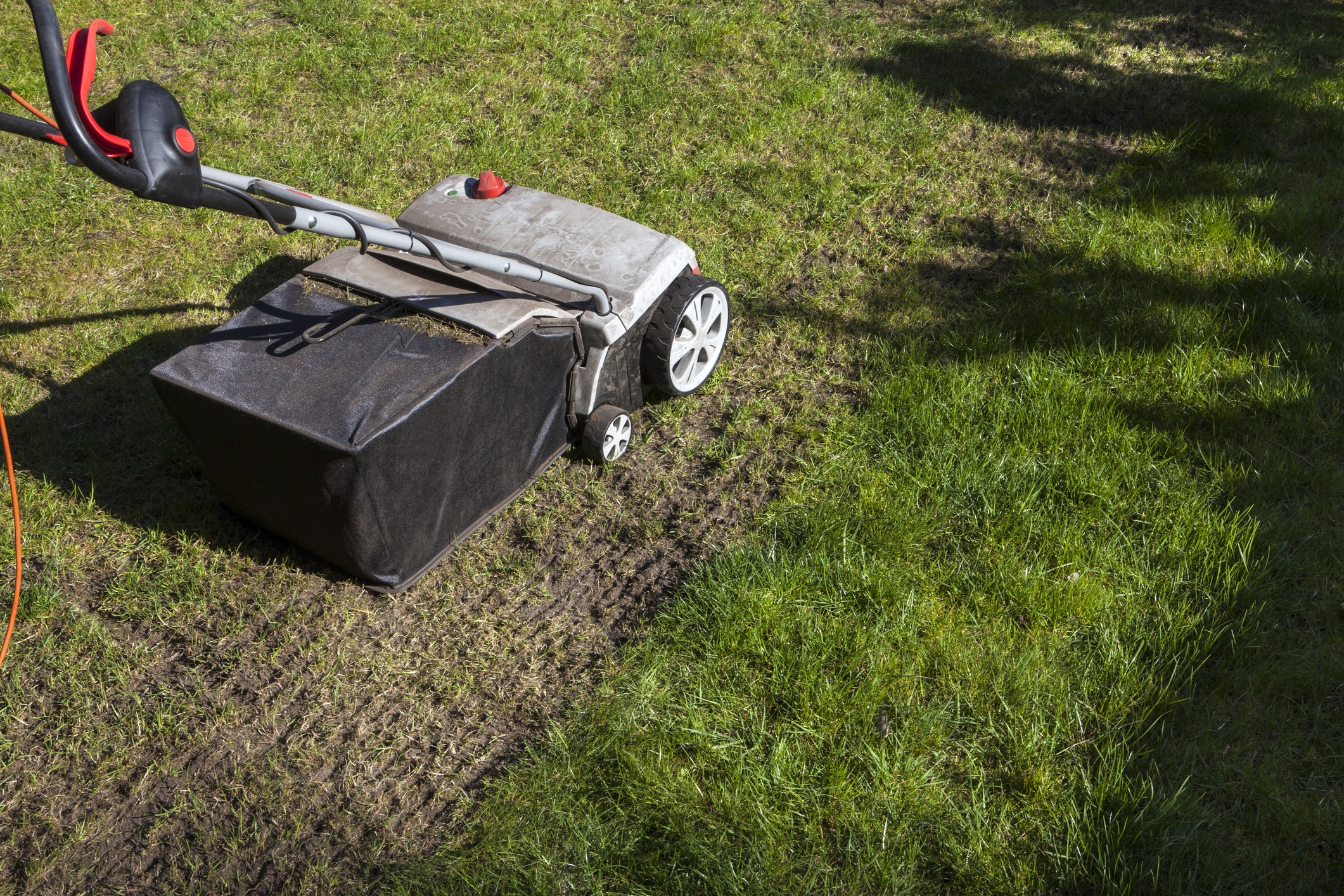 Electric lawn mower on patchy green lawn