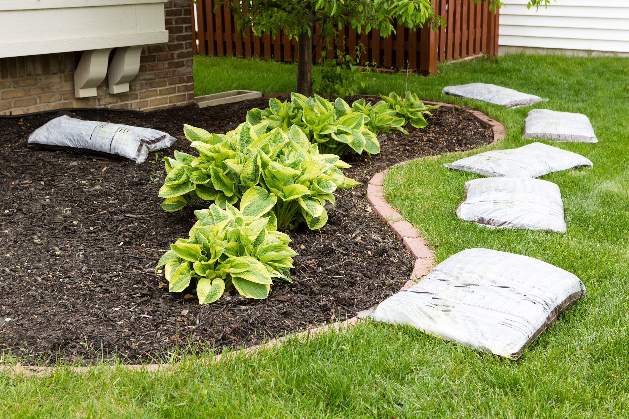 Mulch bags around landscaped garden bed with hostas