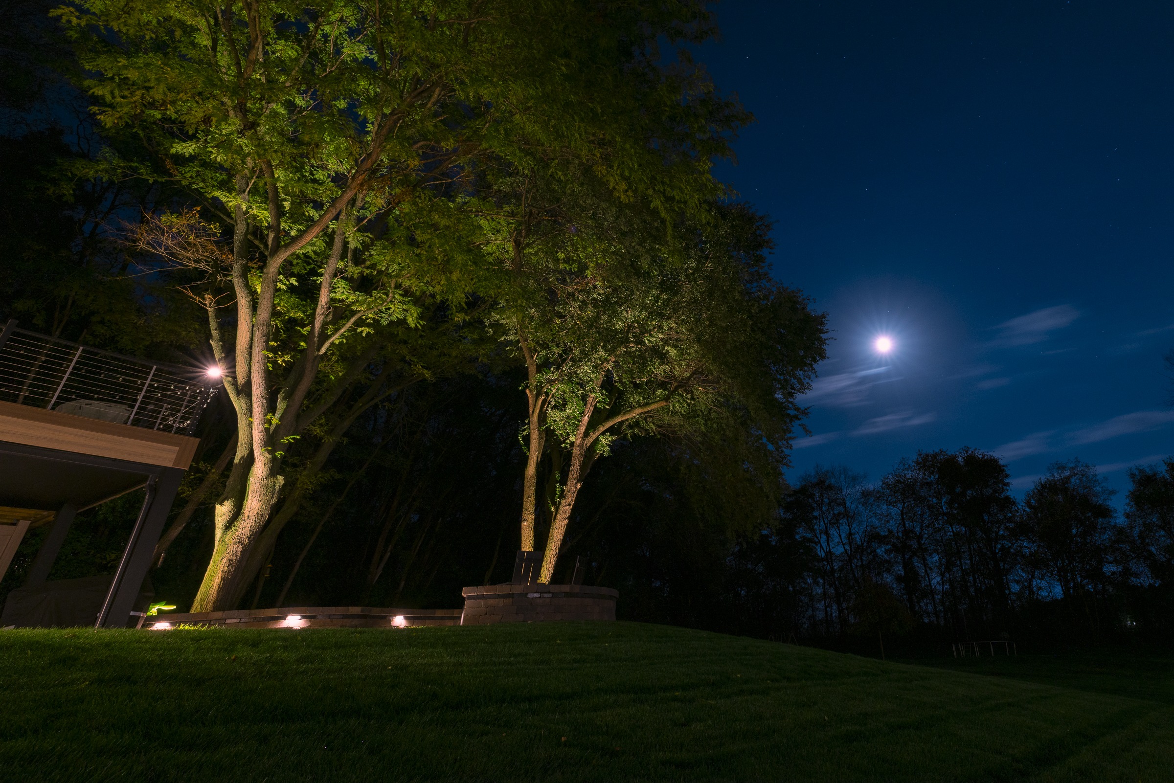 Moonlit backyard with illuminated trees and lawn