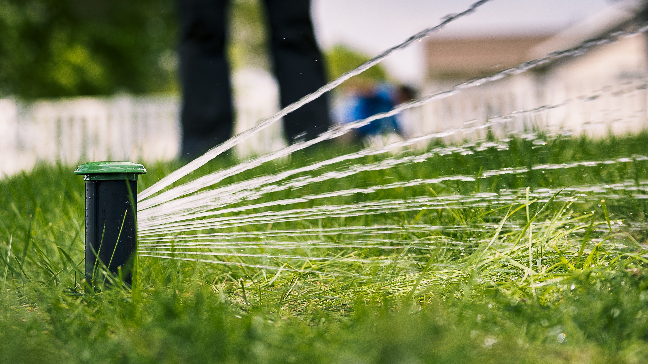 Lawn sprinkler watering green grass in backyard