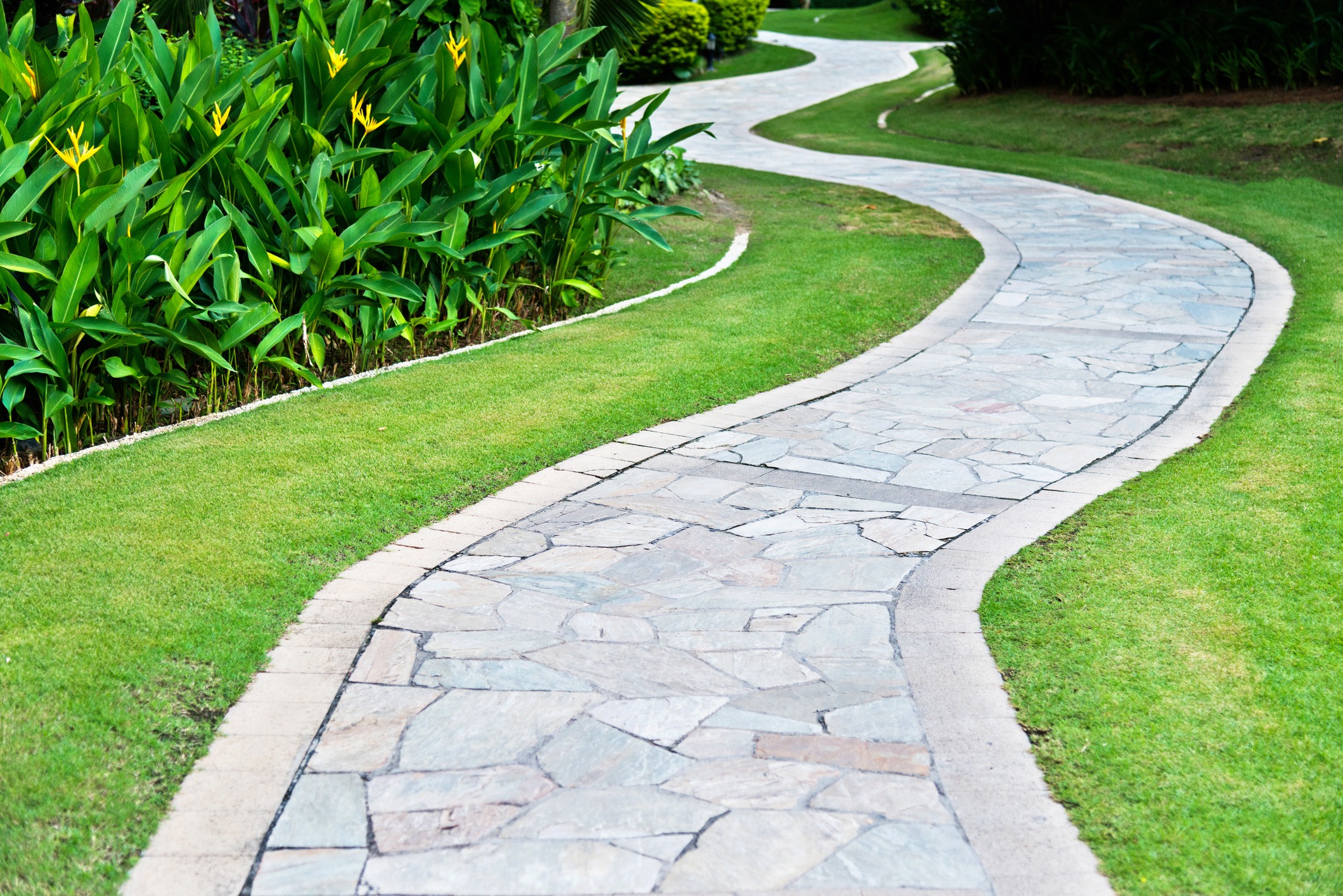 Curved stone pathway through lush green garden